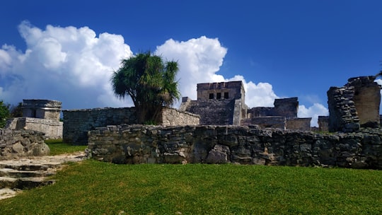 Parque Nacional de Tulum things to do in Tulum