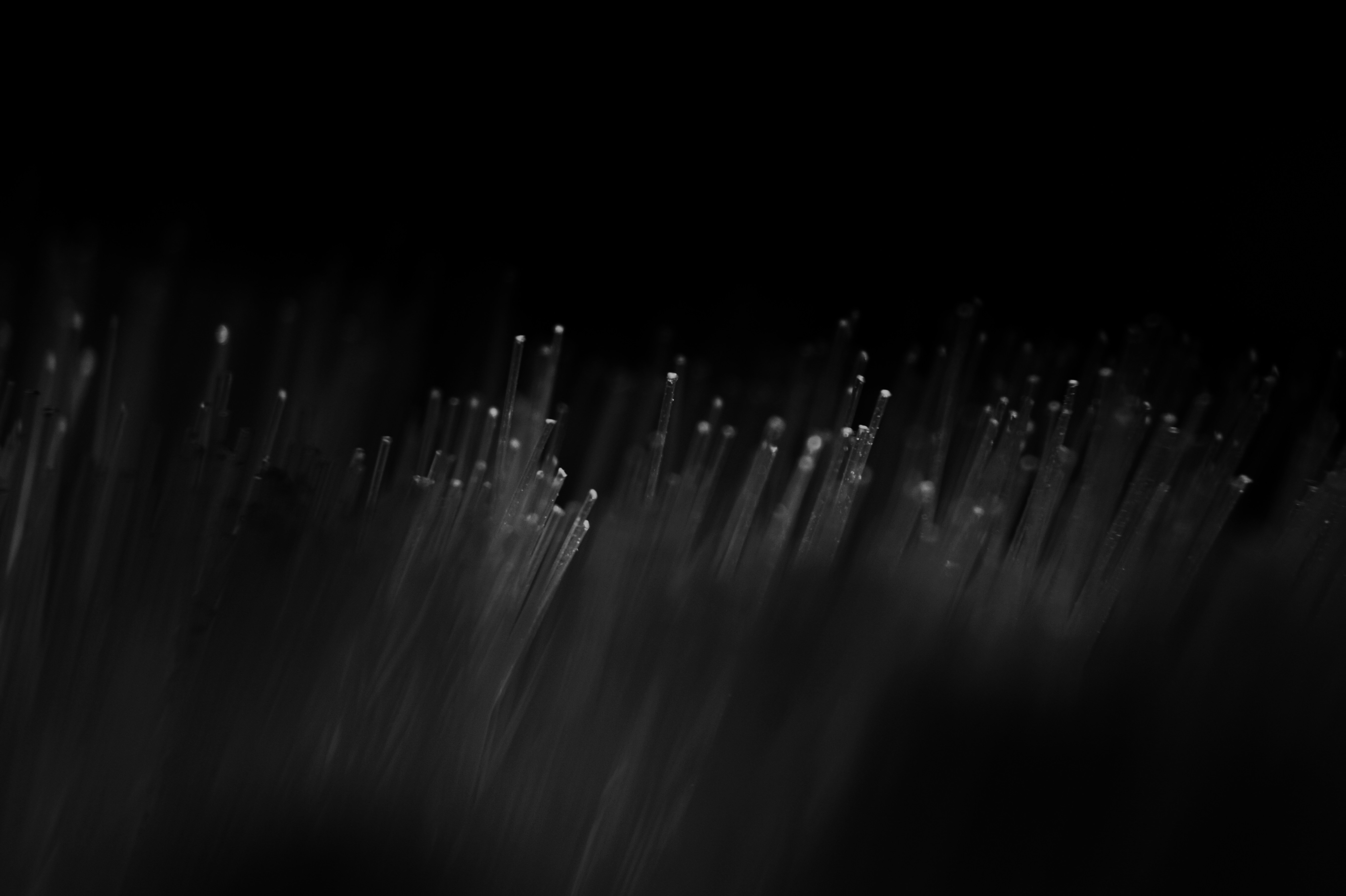 Servicio de Internet por Fibra Óptica