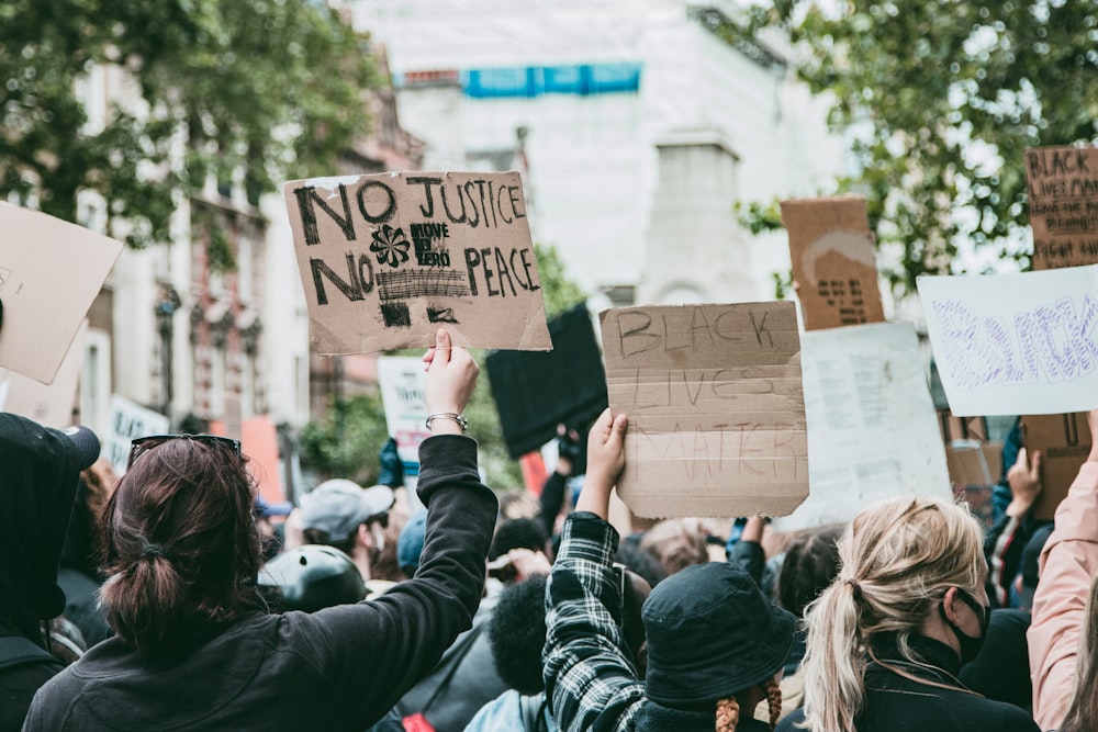 people holding brown cardboard box