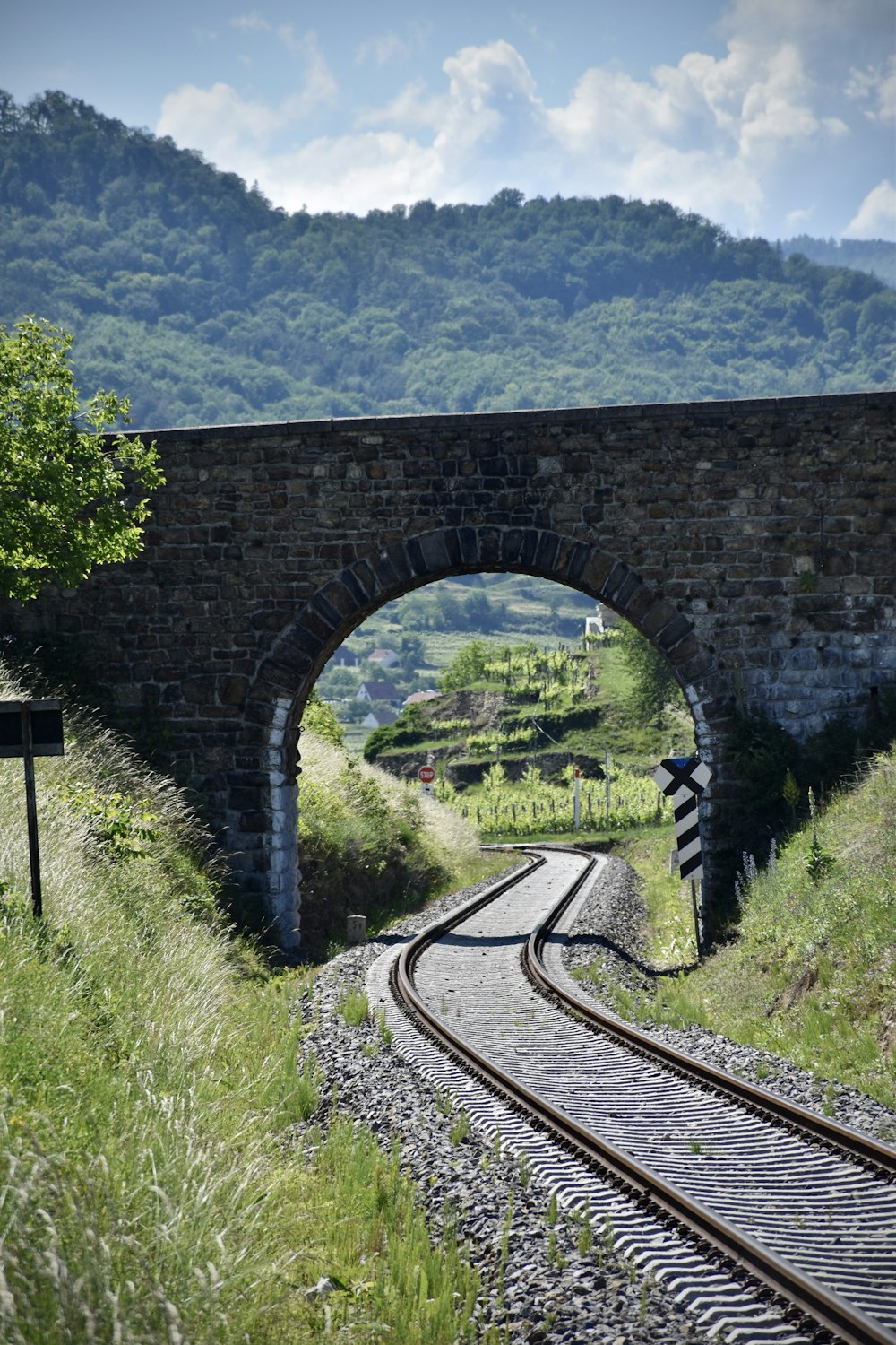 rotaia del treno in metallo marrone vicino al campo di erba verde durante il giorno