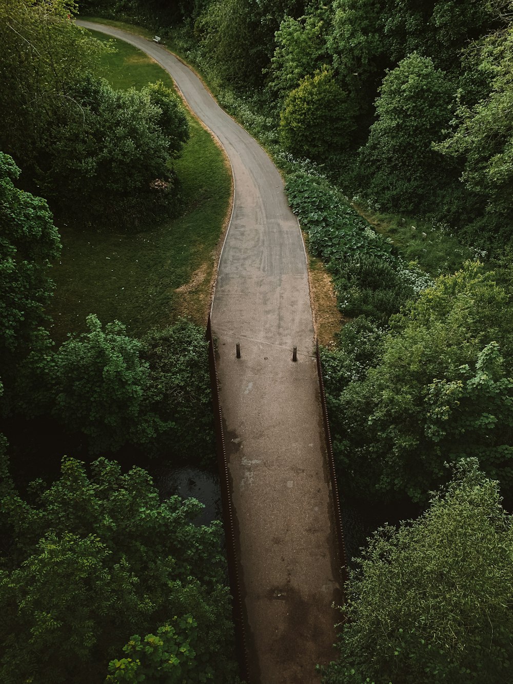 gray concrete road between green trees during daytime