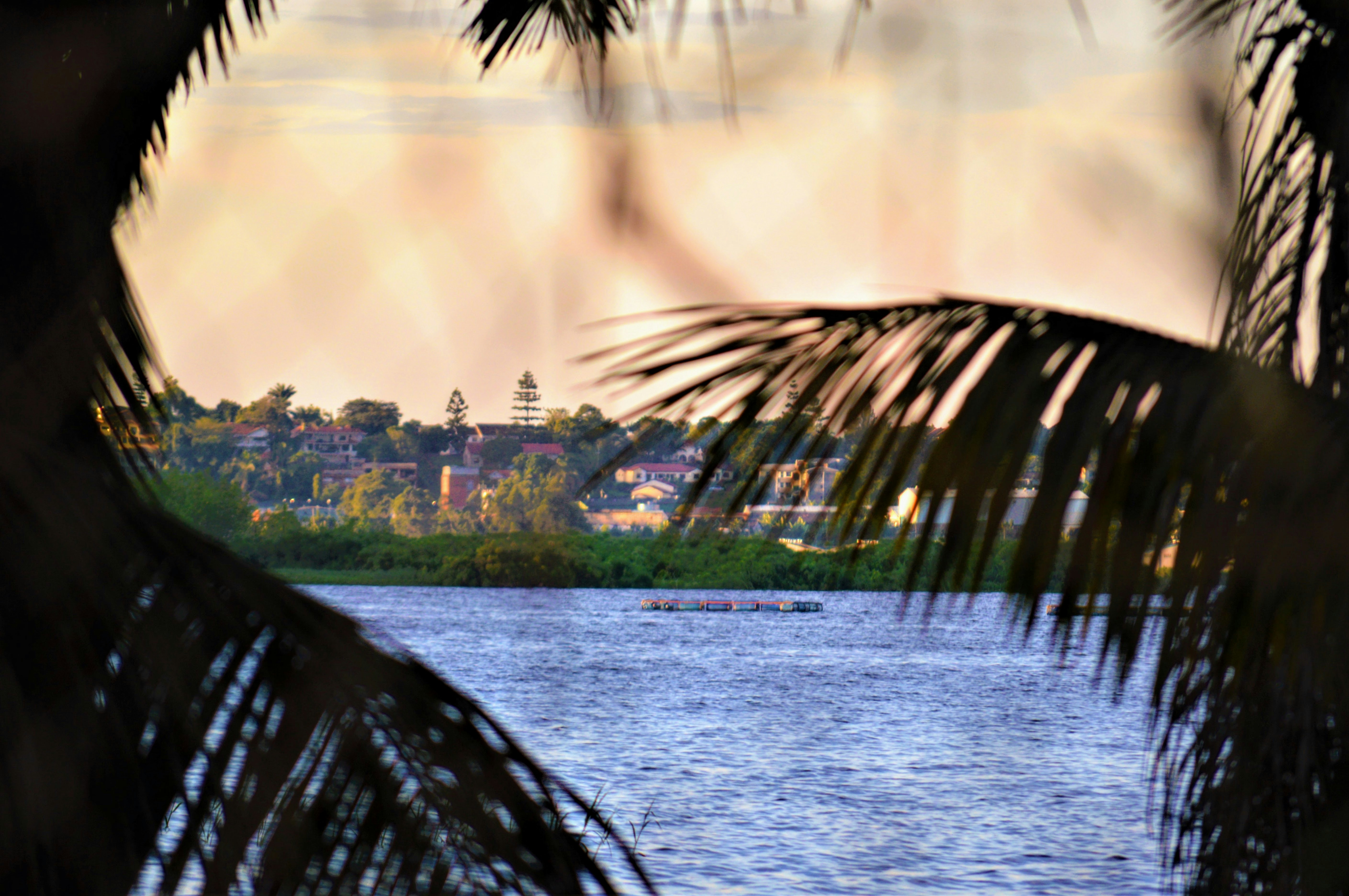 Photo by shelleygrayson