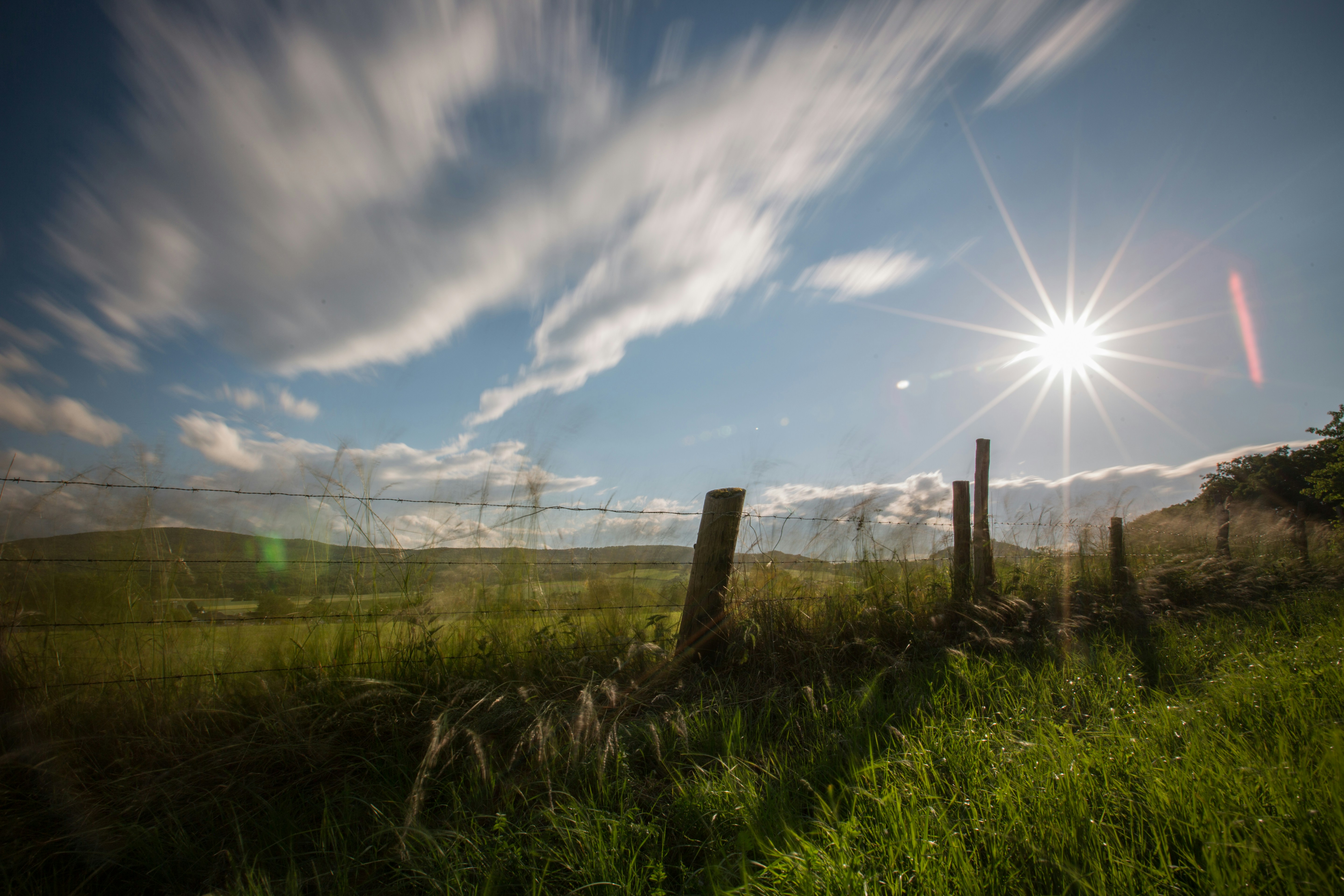 Photo by frank041985