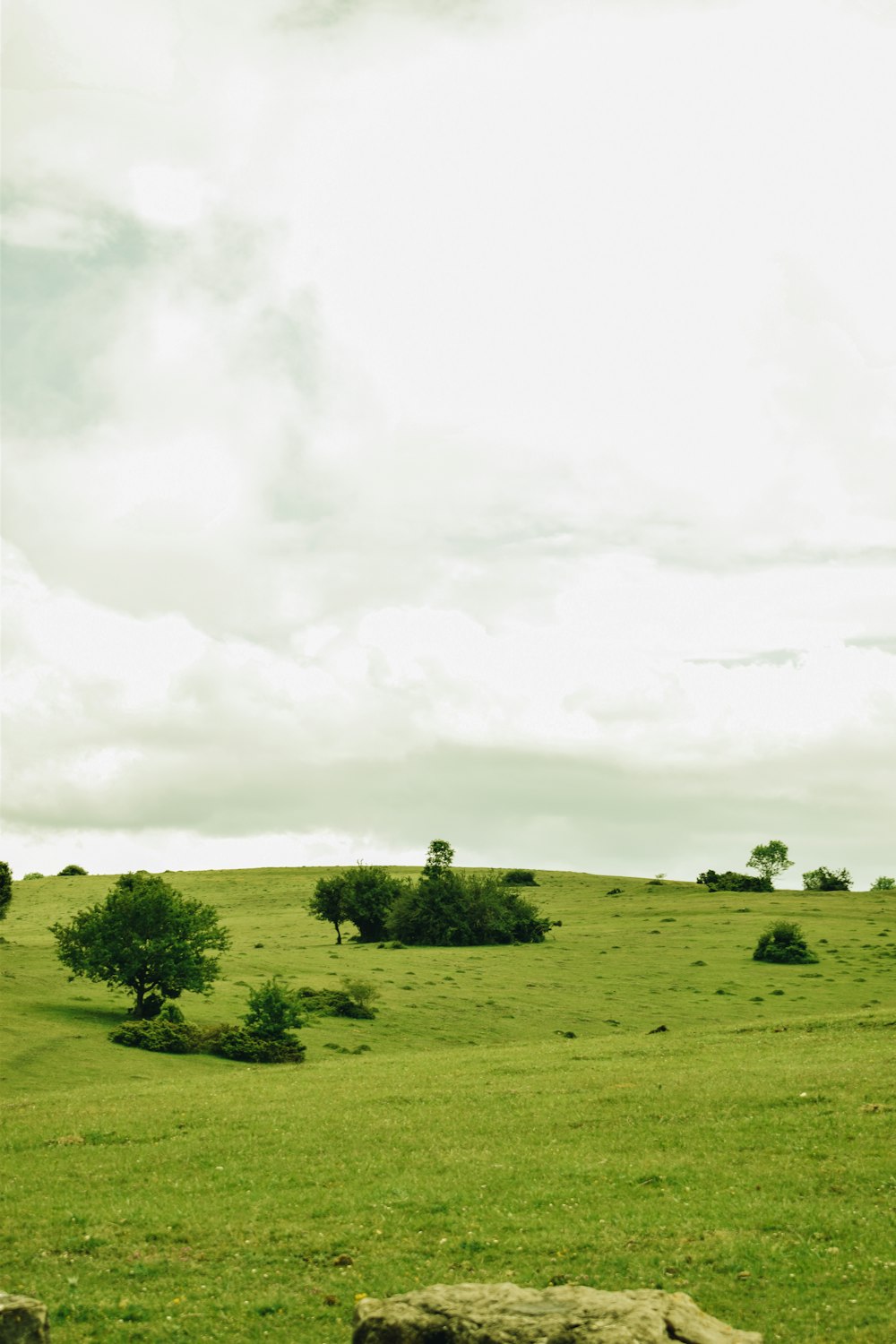 campo di erba verde sotto nuvole bianche durante il giorno