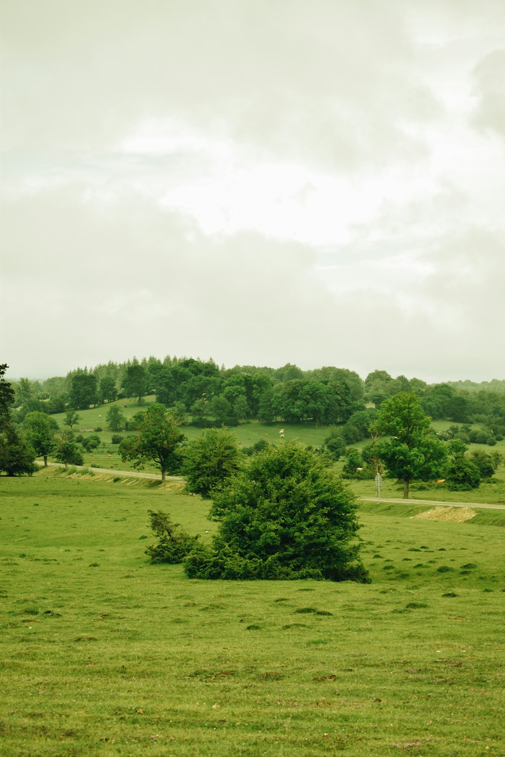 green grass field with trees under white clouds during daytime