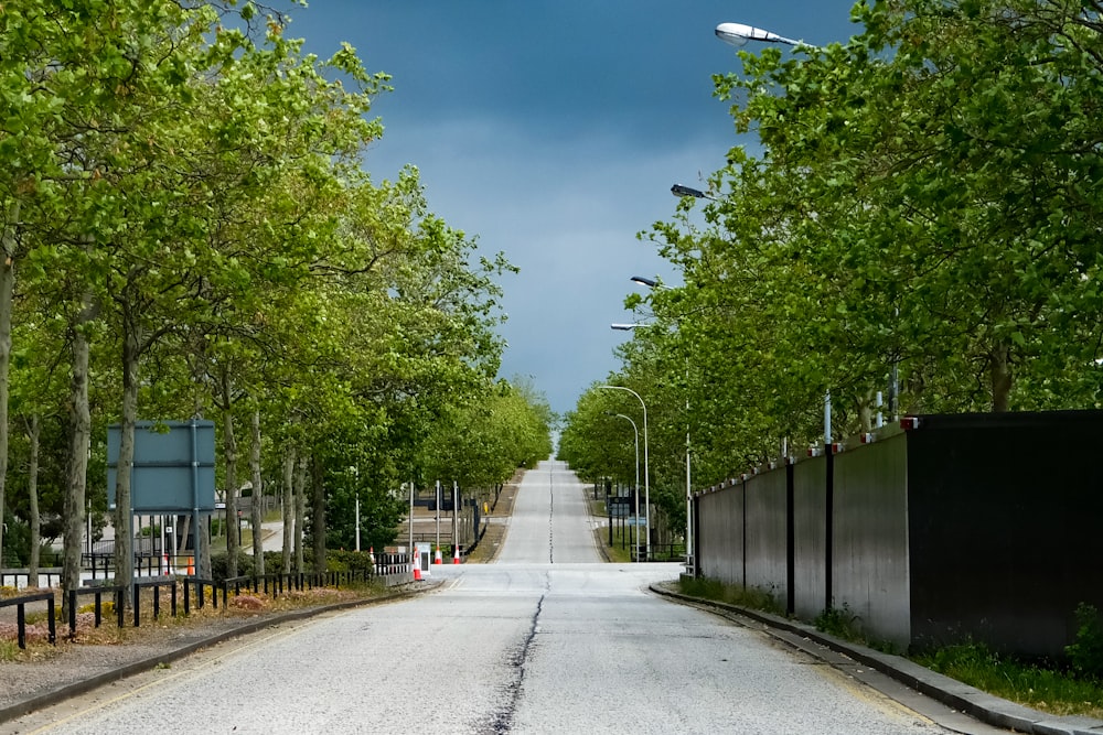 昼間の青空の下、緑の木々の間にある灰色のコンクリート道路