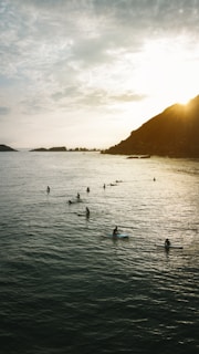 birds on body of water during daytime
