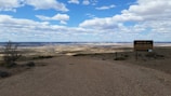 A vast, arid landscape with a dirt road leading towards a distant horizon. Sparse vegetation is scattered throughout the area. A sign on the right side reads 'Bajo de la Laguna Grande Bosques Petrificados'. The sky is expansive, filled with scattered clouds and patches of blue.