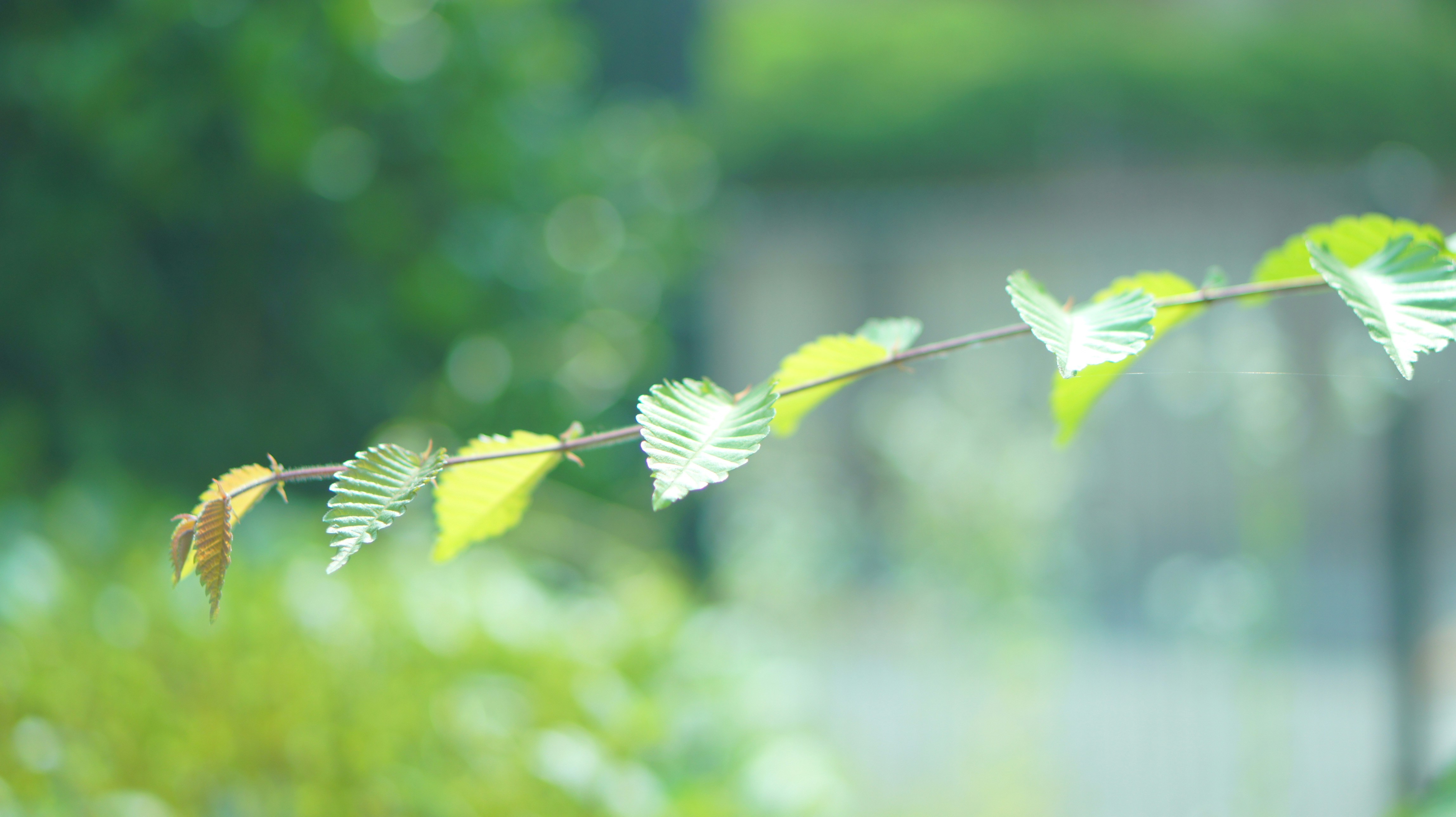 Photo by kiyomishiomura