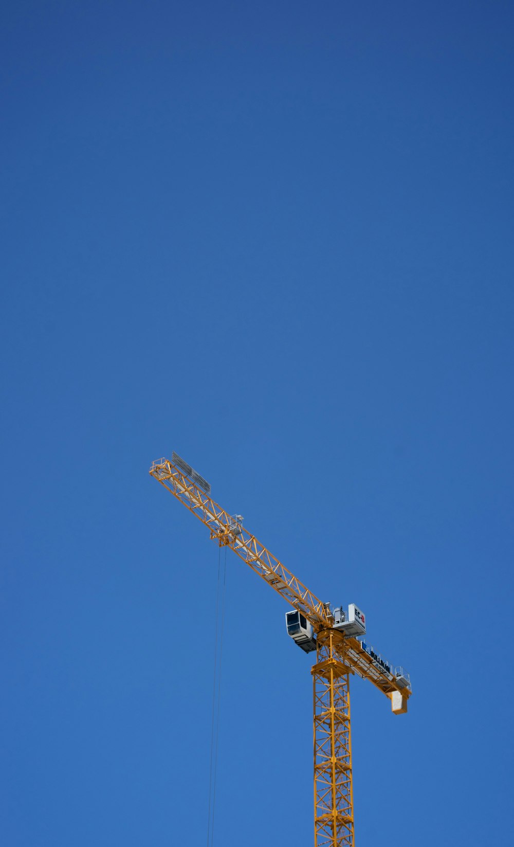 brown and black crane under blue sky during daytime