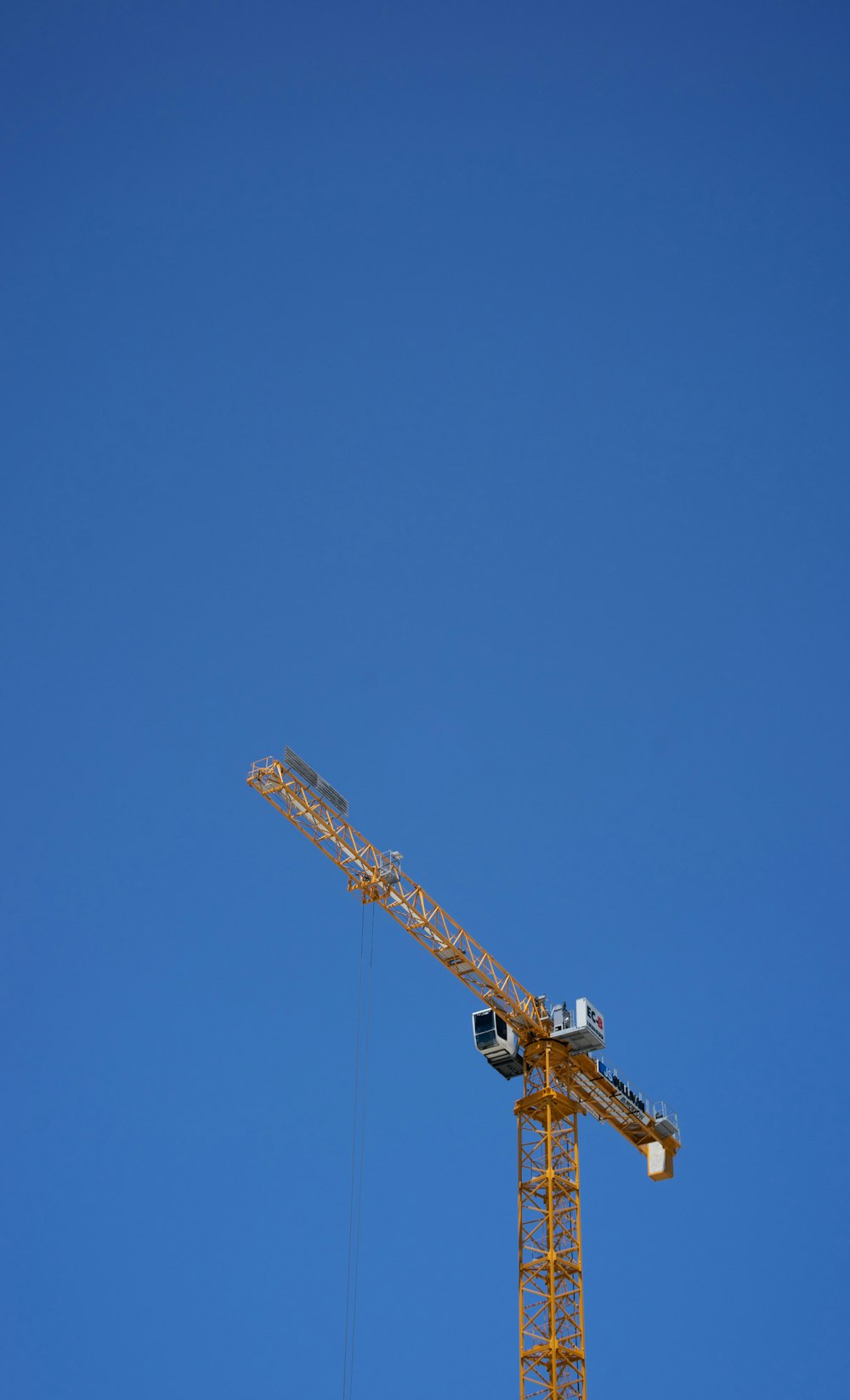 Brauner und schwarzer Kranich tagsüber unter blauem Himmel