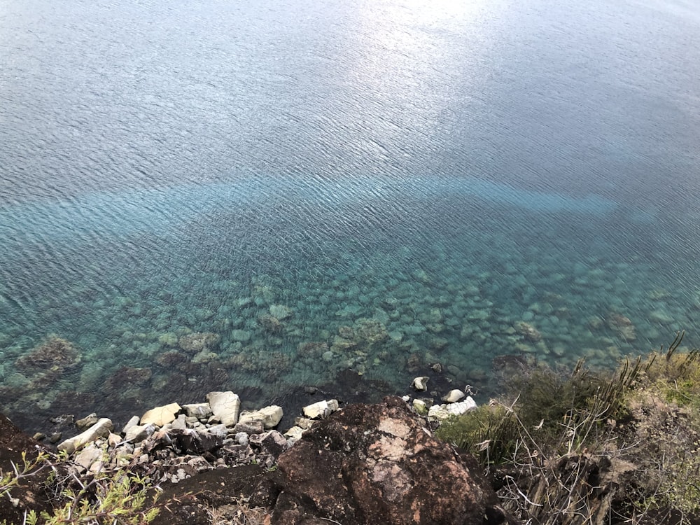 blue body of water during daytime