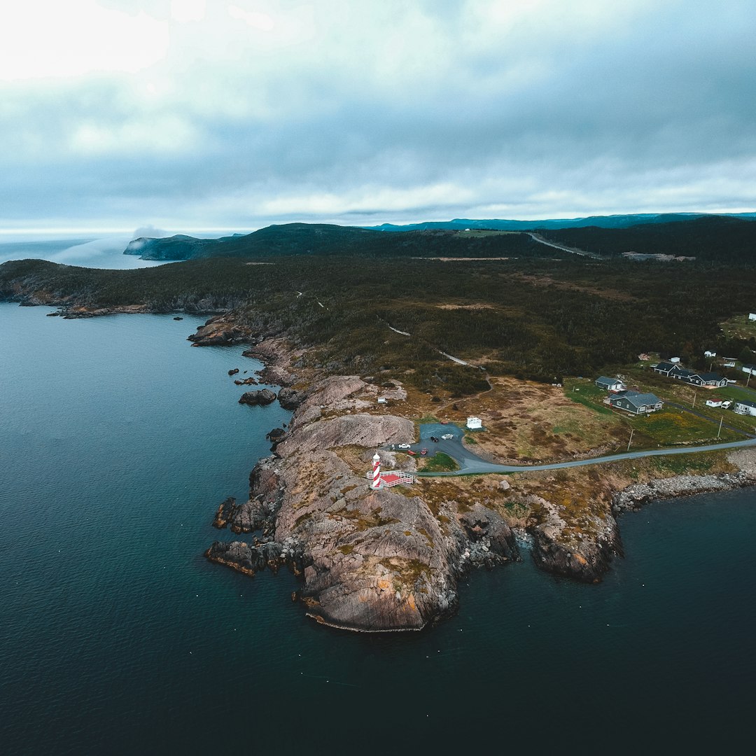 green grass covered island during daytime