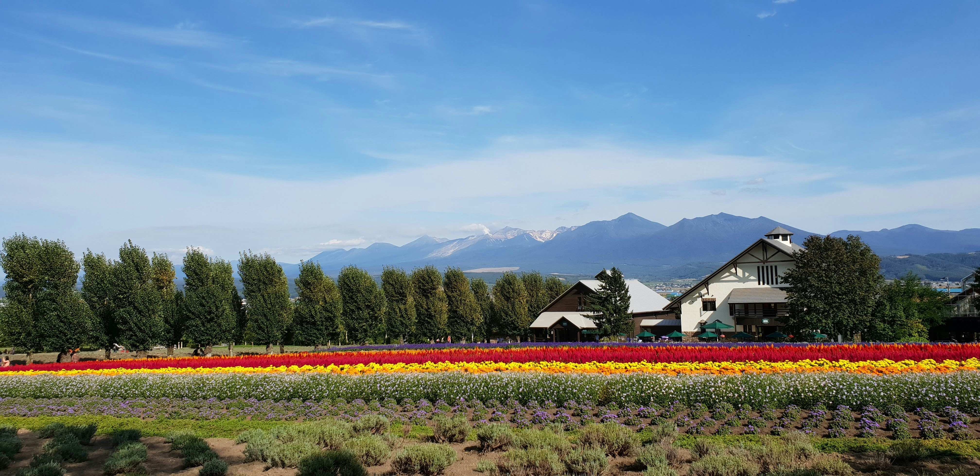 green grass field near brown wooden house during daytime