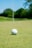 white golf ball on green grass field during daytime