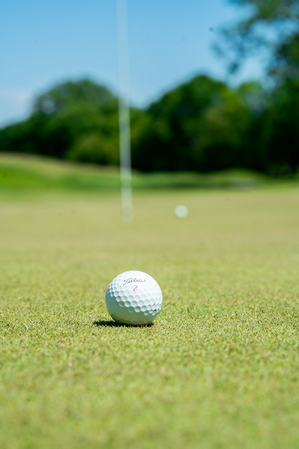 bola de golfe branca no campo de grama verde durante o dia