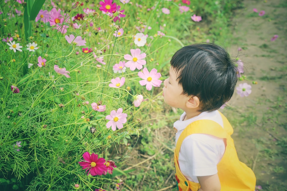 a little boy standing in a field of flowers