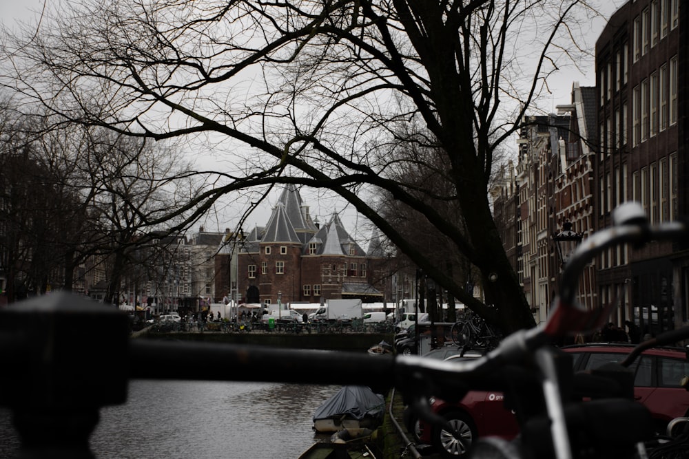 man riding on boat on river near bare trees during daytime