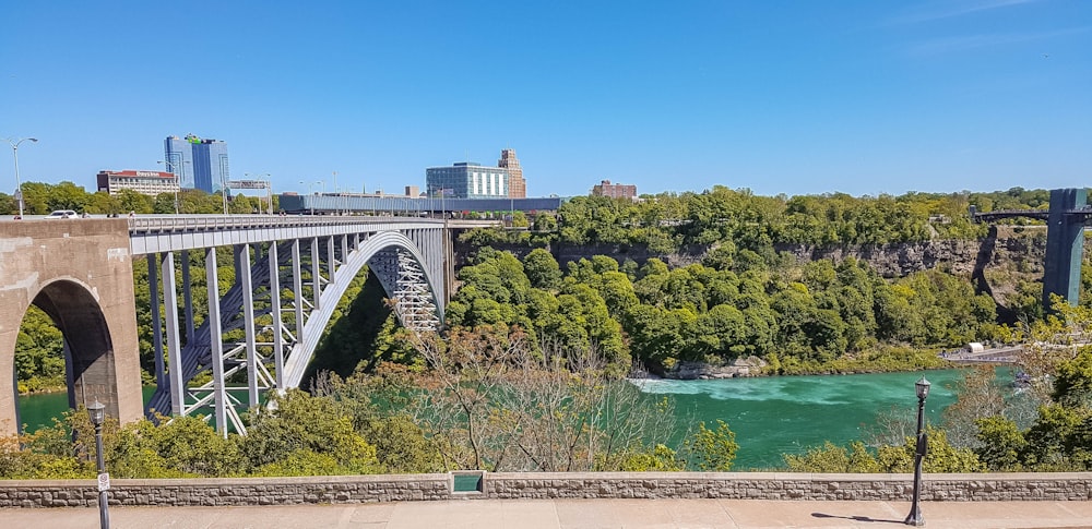 green trees near body of water under blue sky during daytime