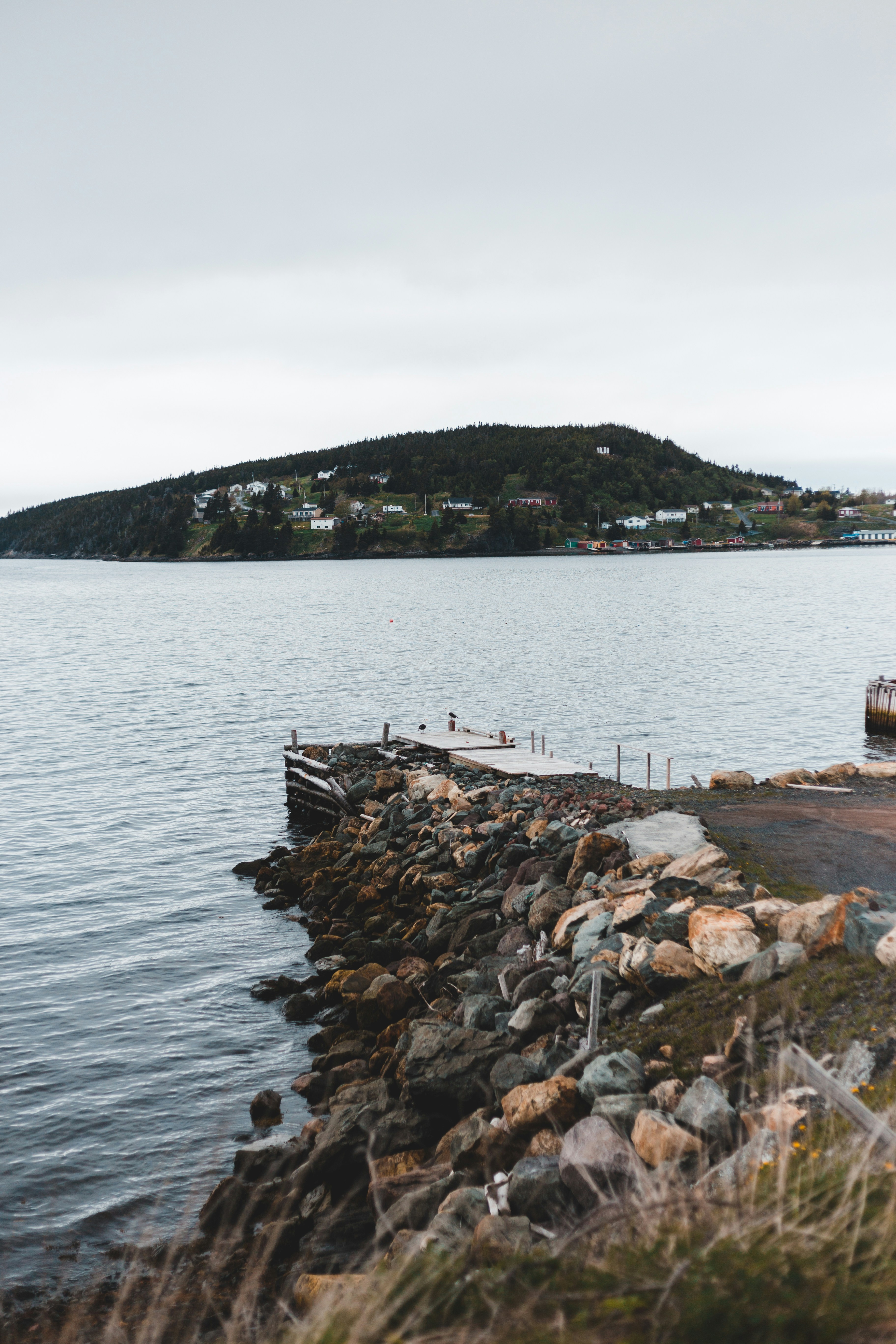 Photo by introspectivedsgn