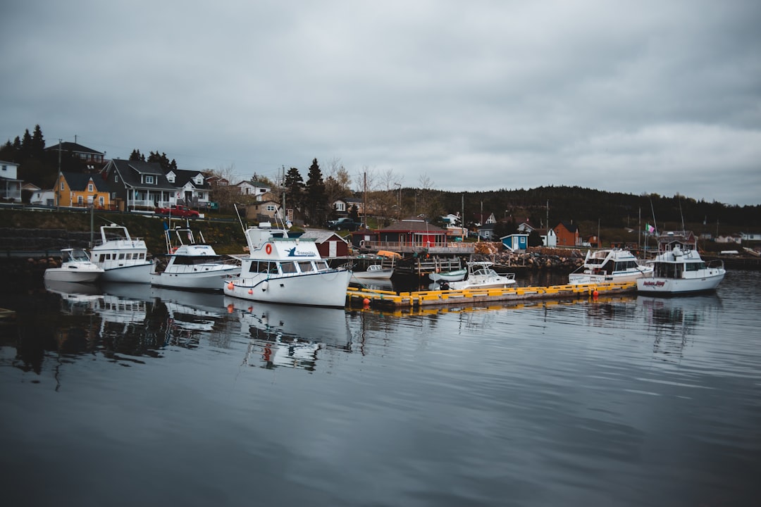 white and red boat on water during daytime