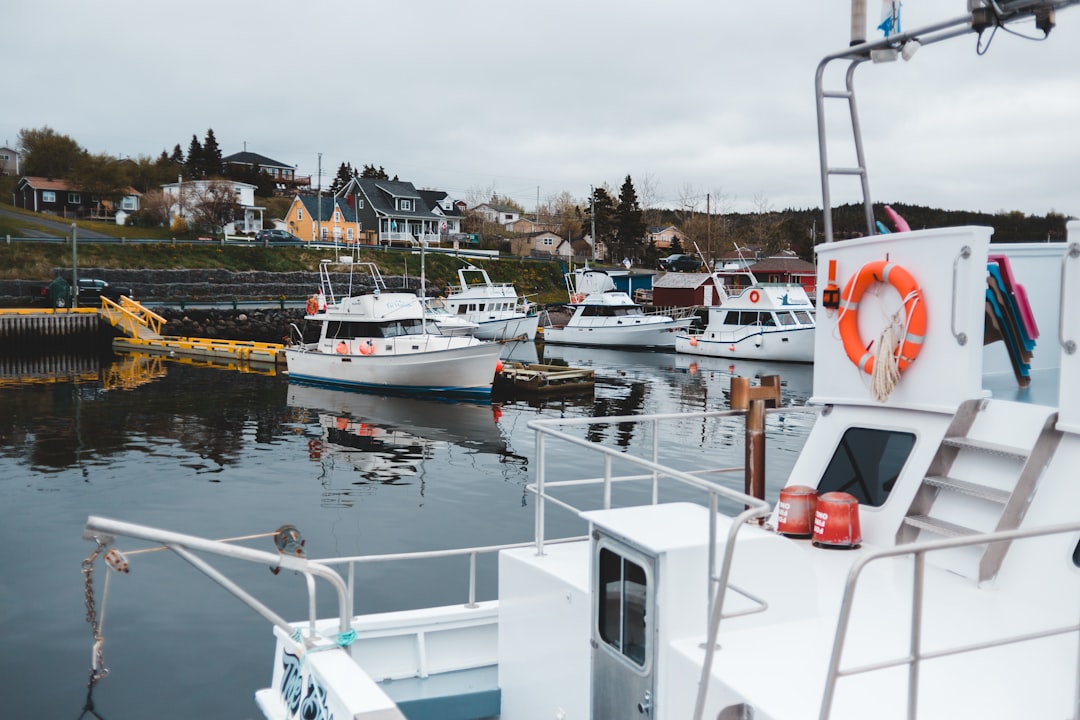 white and red boat on body of water during daytime