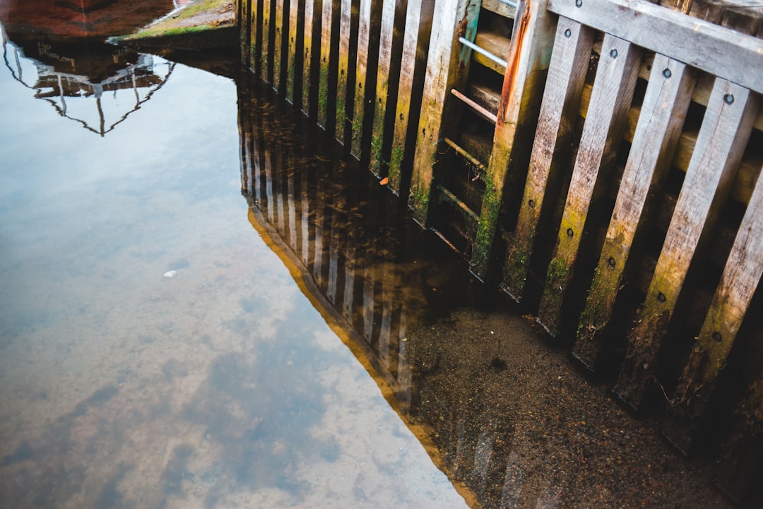 brown wooden fence on water