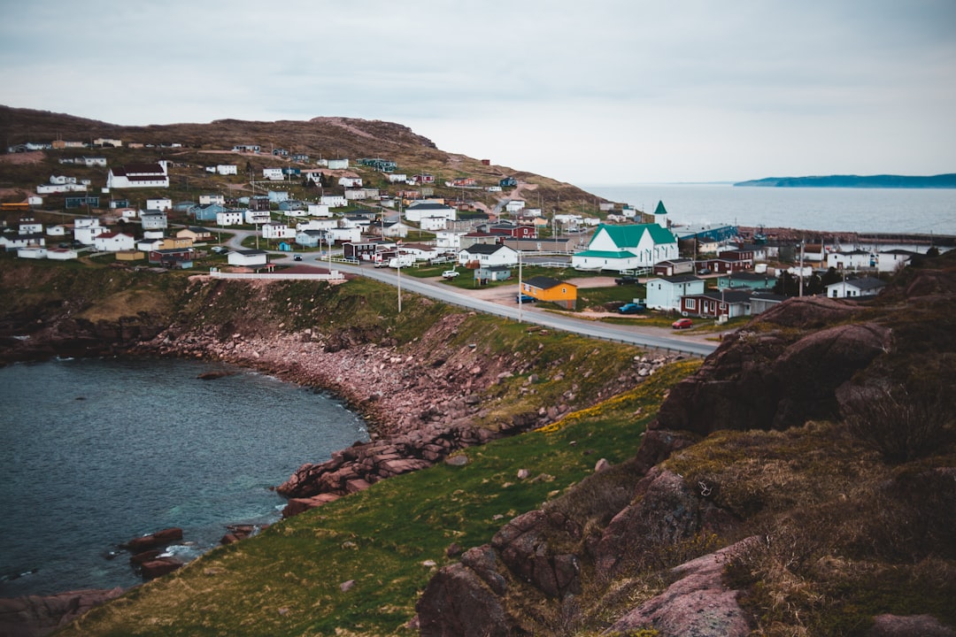 houses on hill near body of water during daytime