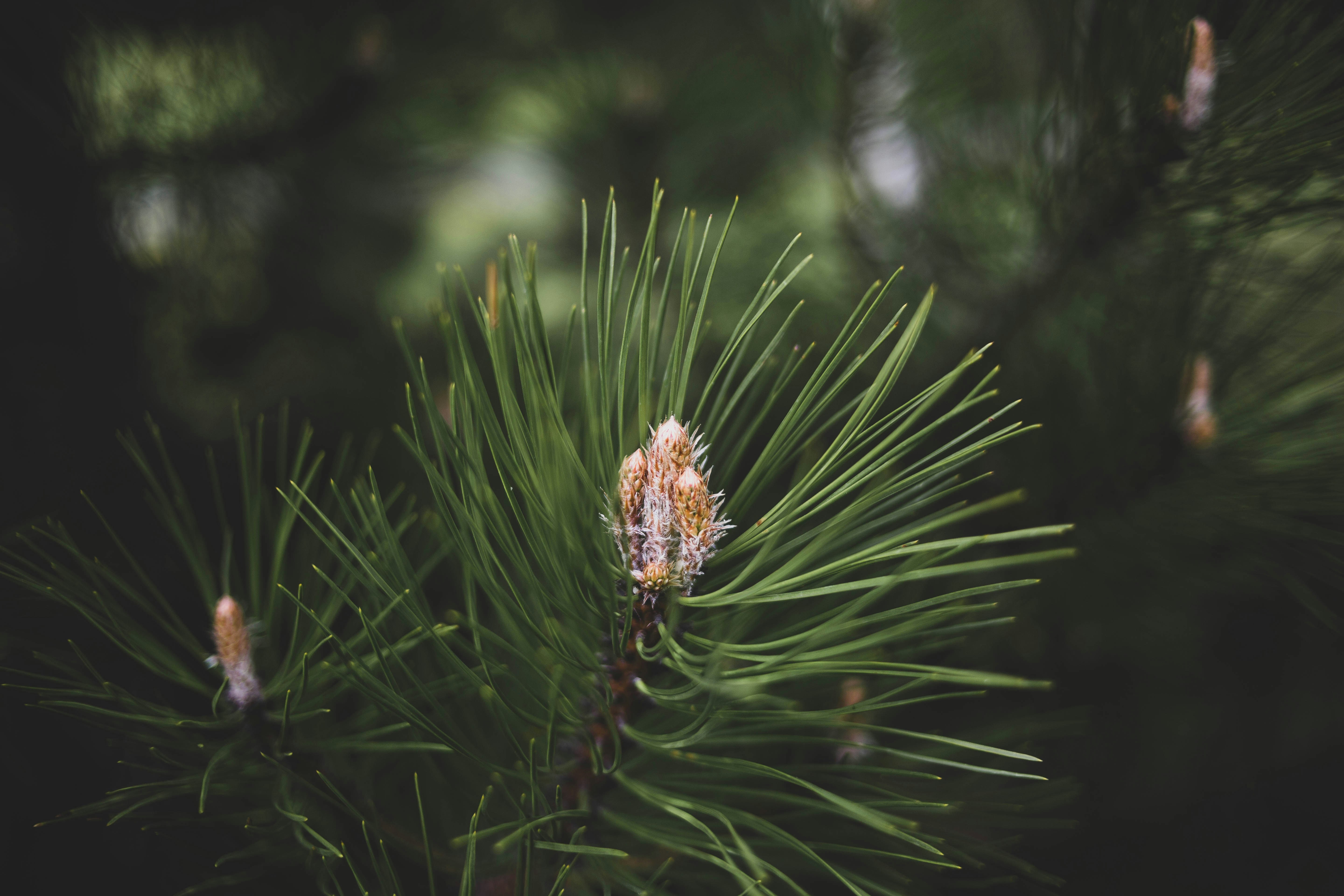 Photo by theshuttervision