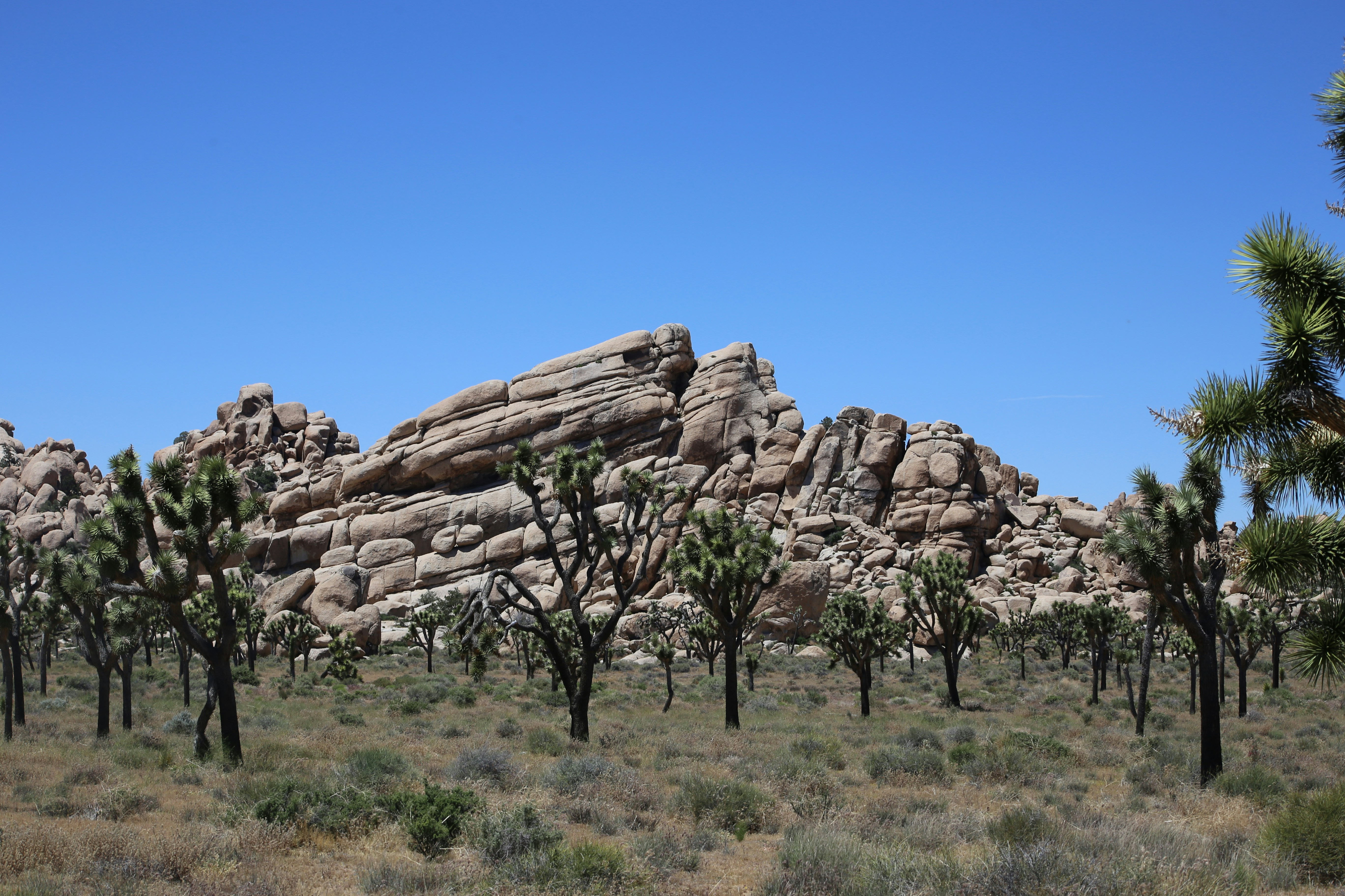 Photo by sub_standard_alien