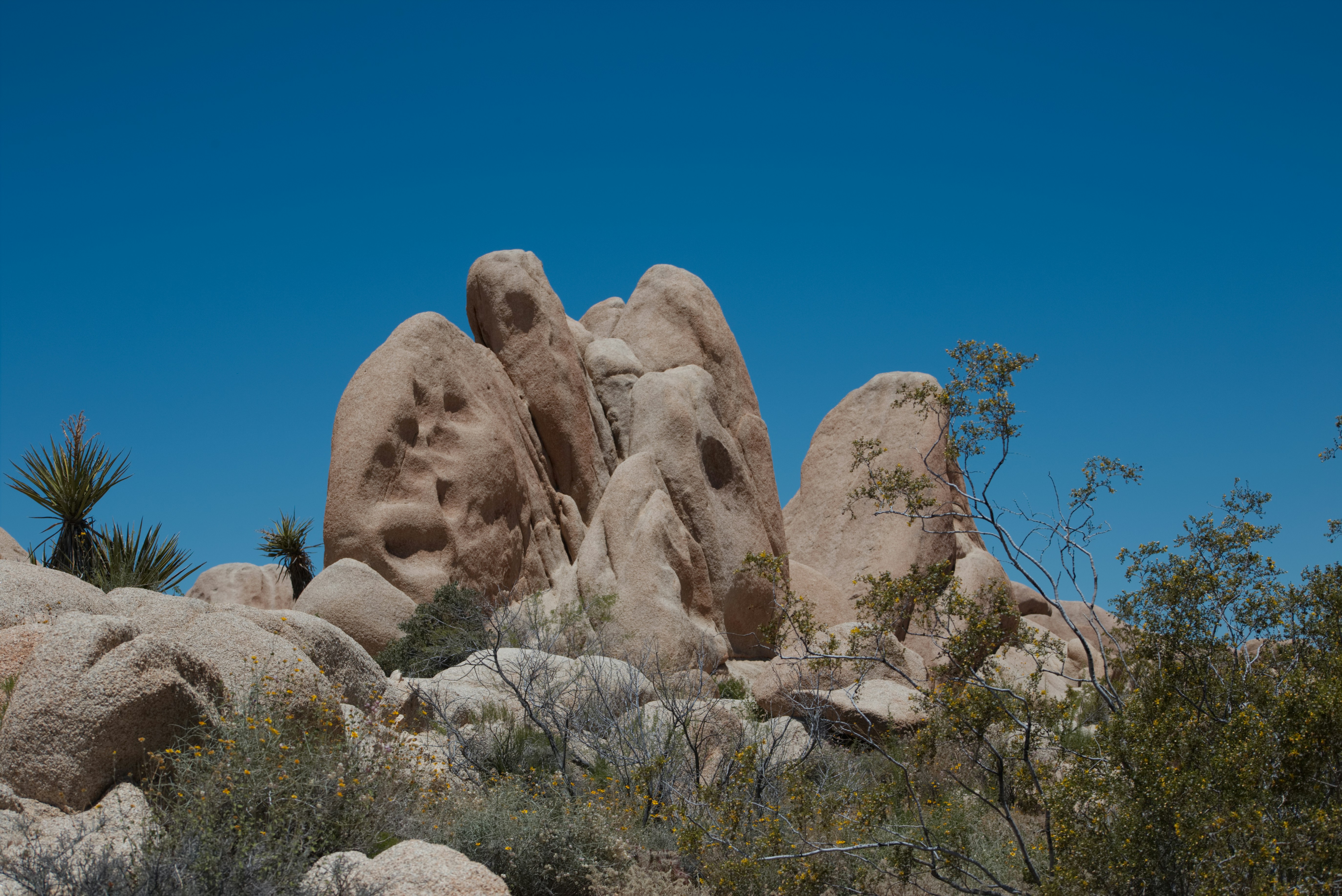 Photo by sub_standard_alien