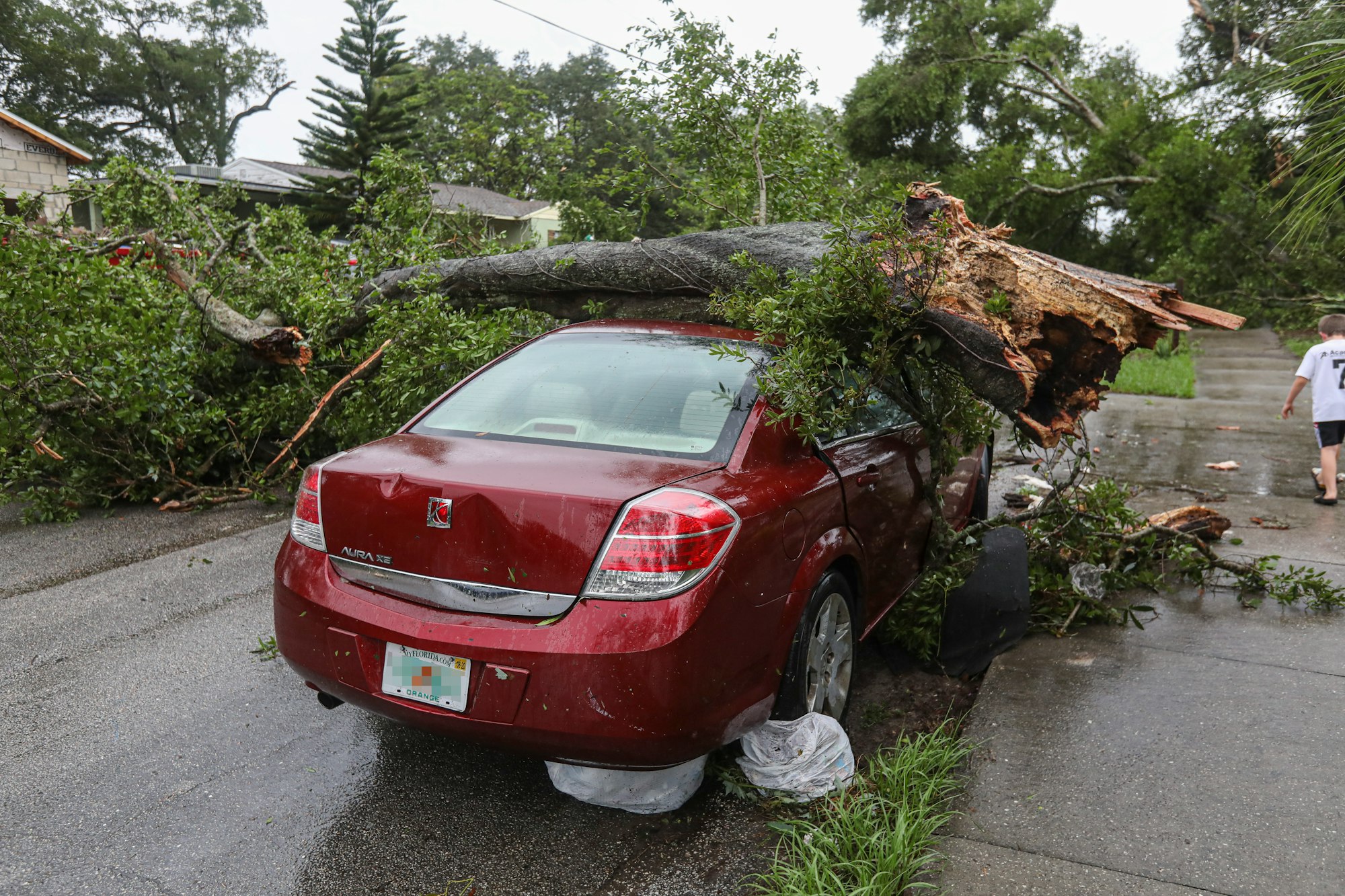 A tornado ripped through our neighborhood this afternoon. Lots of damage but everyone seemed to be ok. Several roofs ripped off and lots of trees down. A very infrequent occurrence here in Orlando.