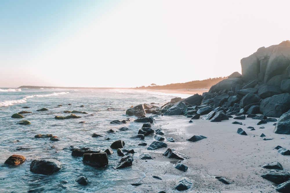 black and gray rocks on beach during daytime