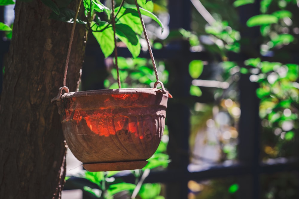 Pot rond en bois brun avec des feuilles vertes