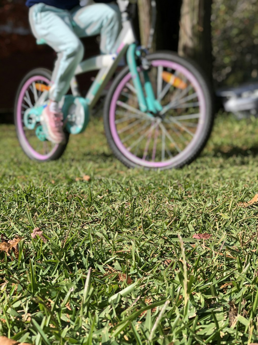 bicicleta azul na grama verde durante o dia