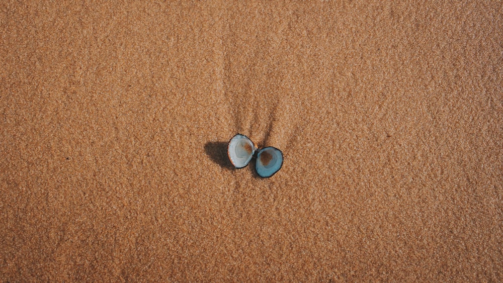 2 blue and silver round coins on brown textile