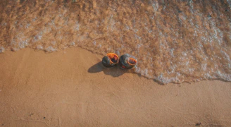 A sunny beach scene with colorful aqua shoes resting on soft sand near gentle waves.