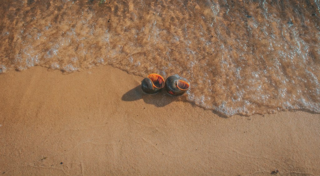 Sandalias Cómodas