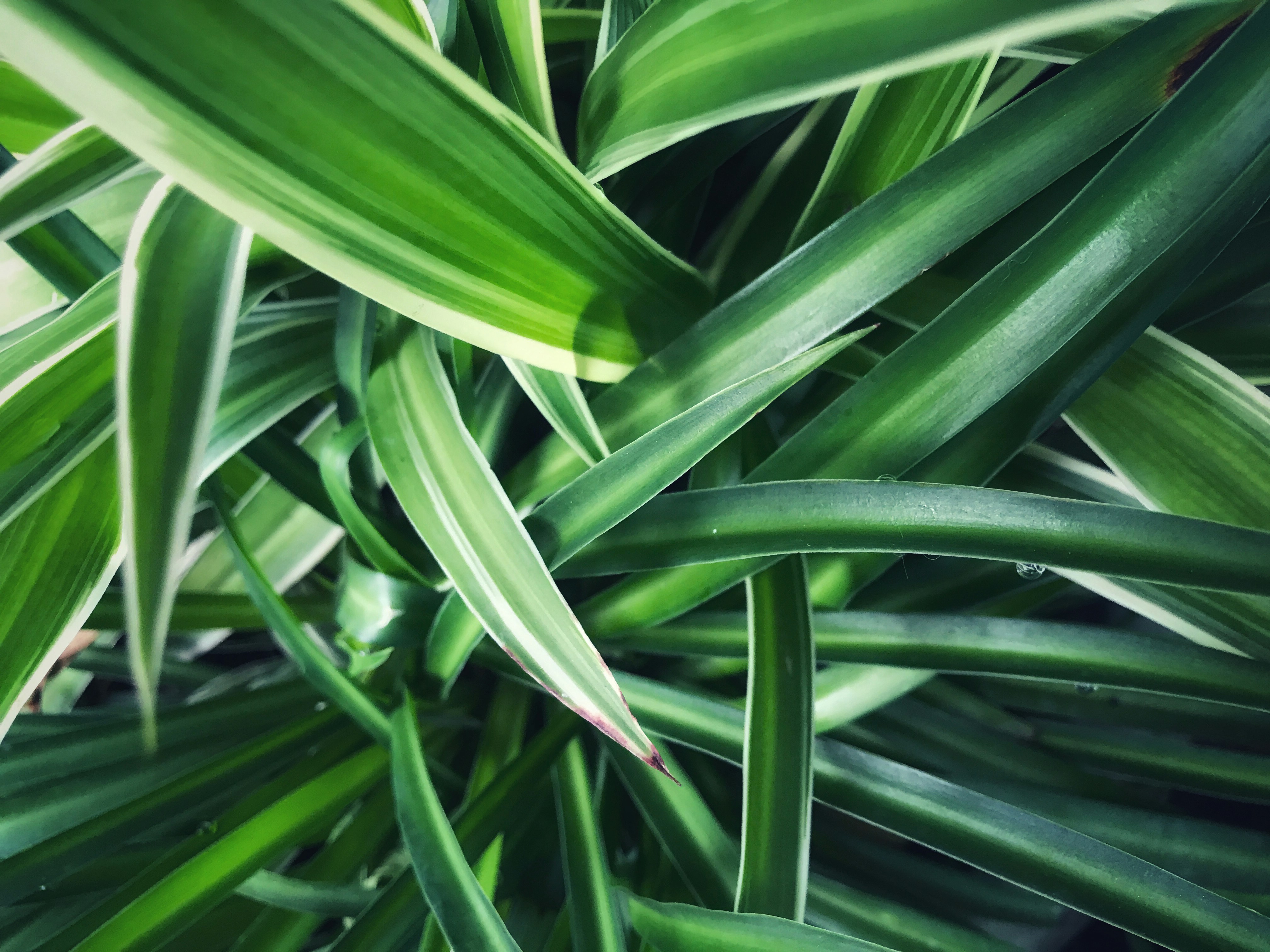 Photo by brucelam2603