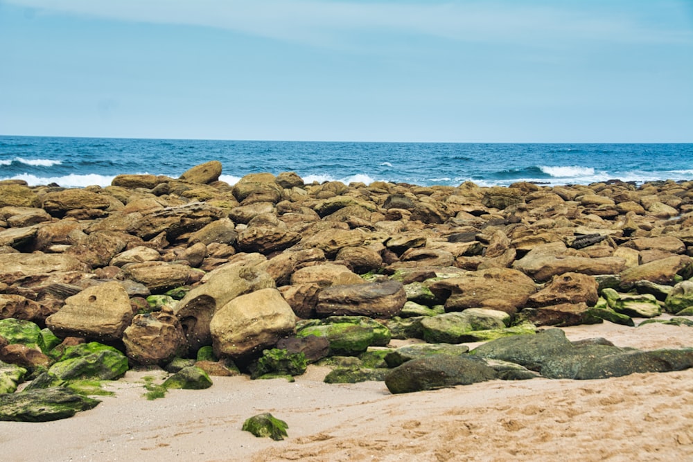 brown rocks on beach during daytime