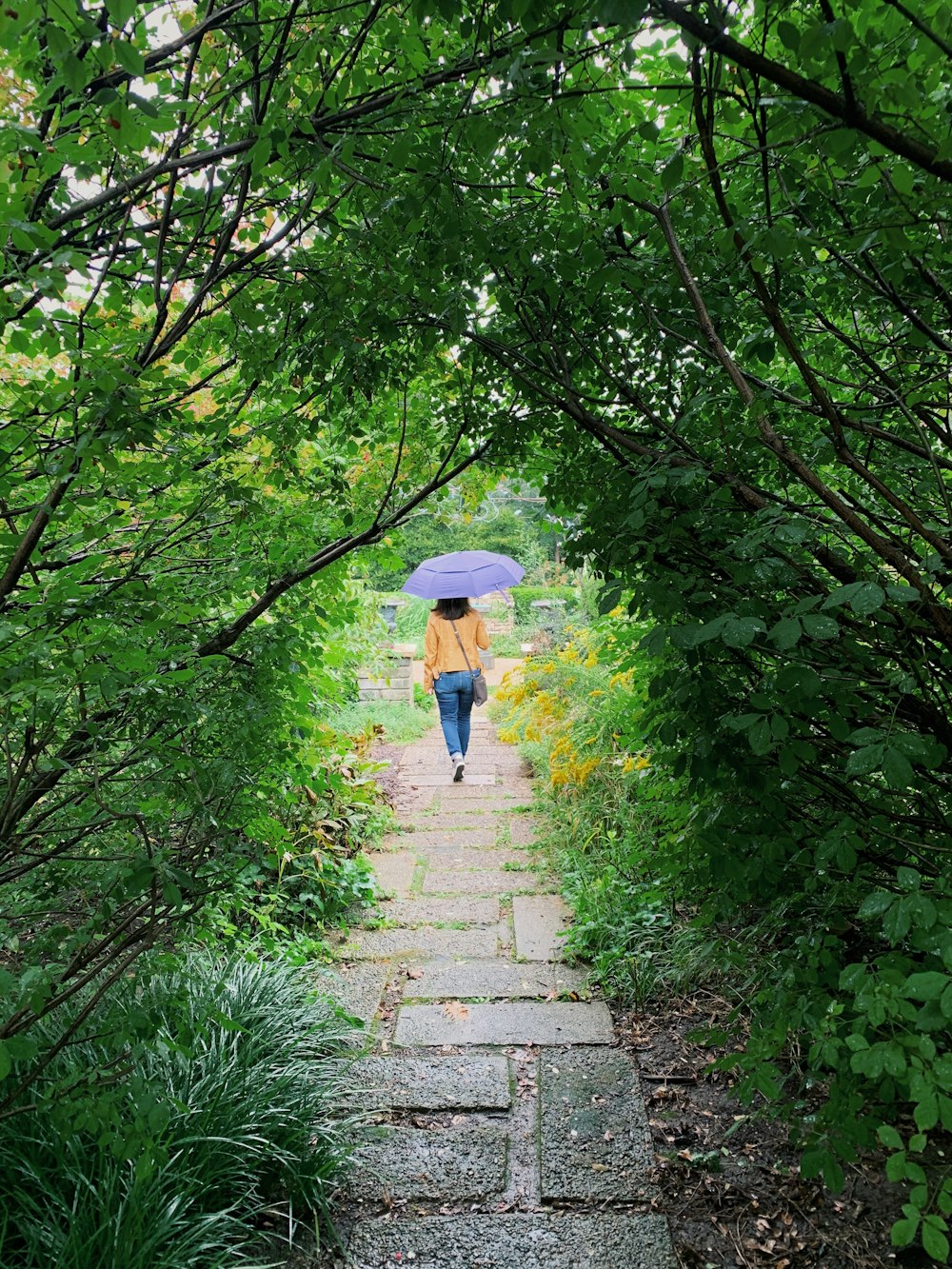 woman in blue jacket and blue denim jeans walking on pathway