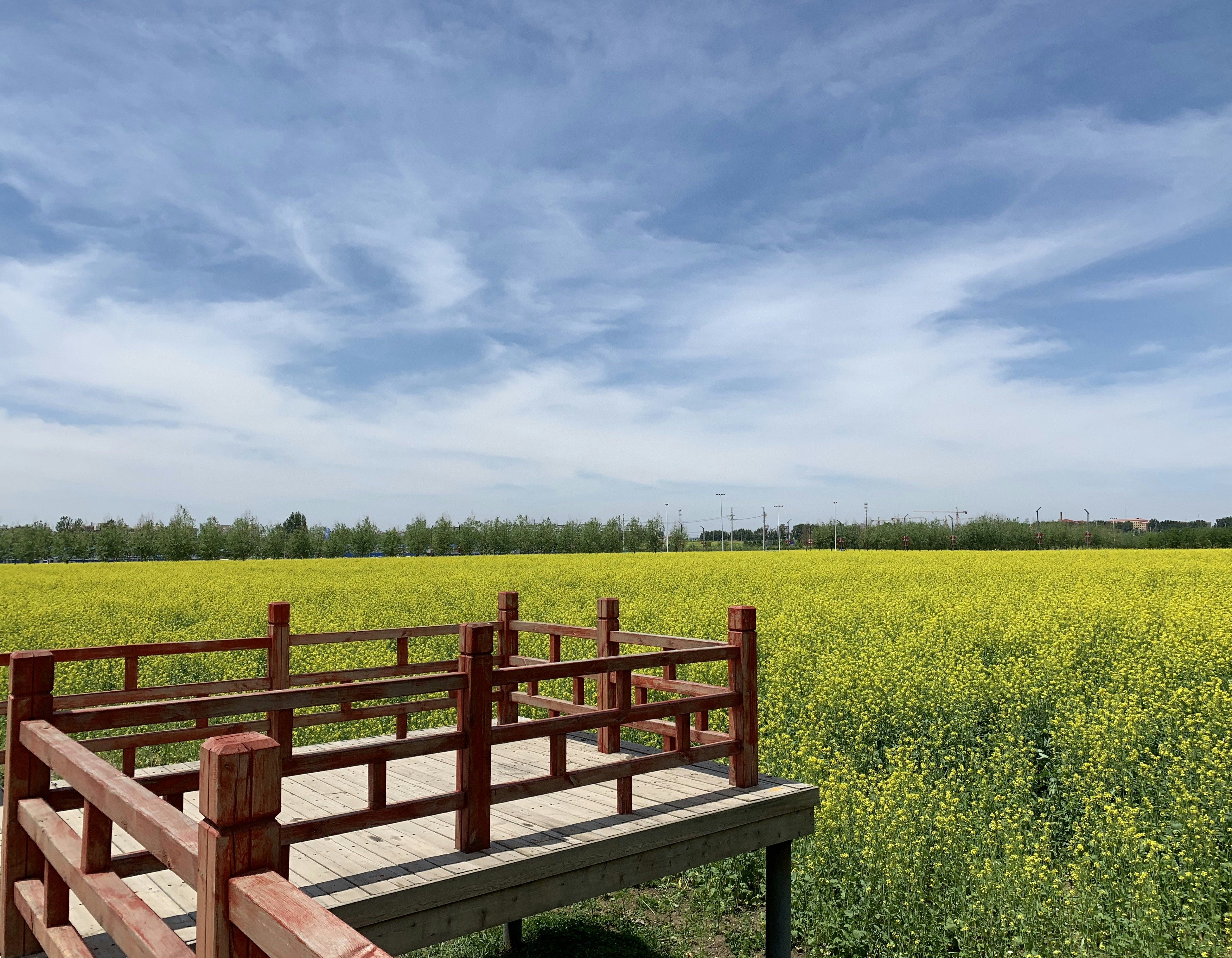 brown wooden bench on green grass field under white clouds and blue sky during daytime