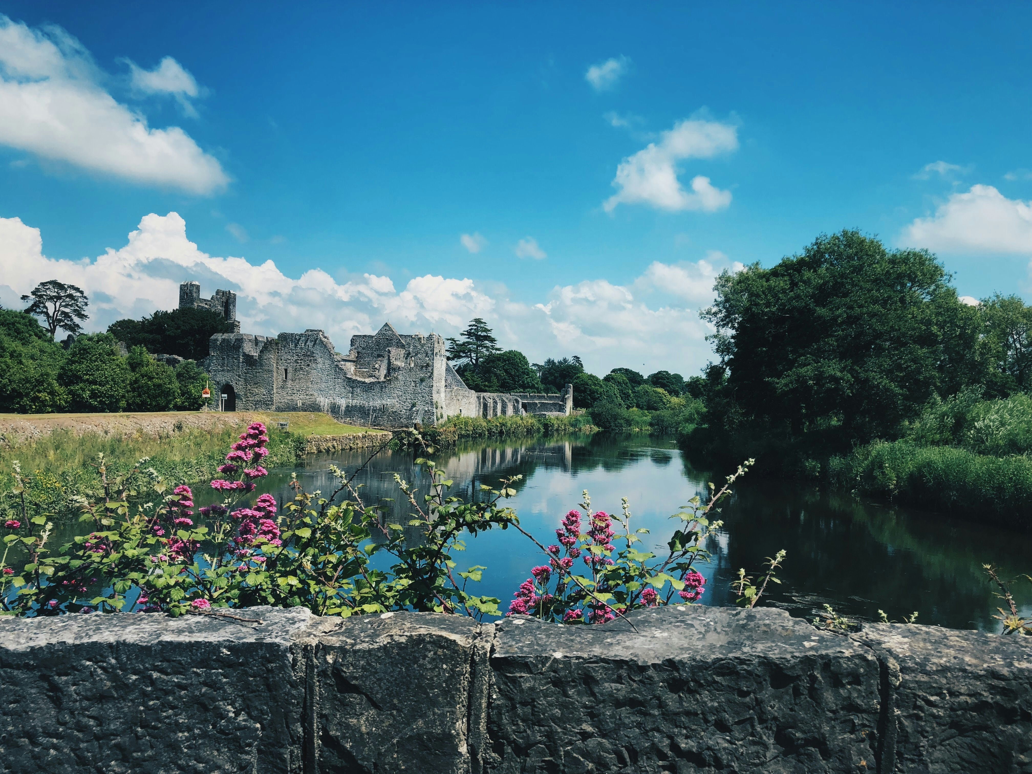 Photo by vince_rankin