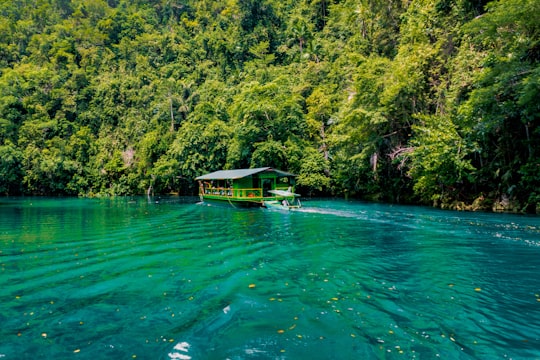 green and brown wooden house on green lake surrounded by green trees during daytime in Loboc River Philippines