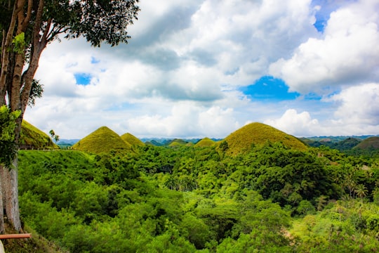 green trees and mountain under blue sky and white clouds during daytime in Chocolate Hills Complex Philippines