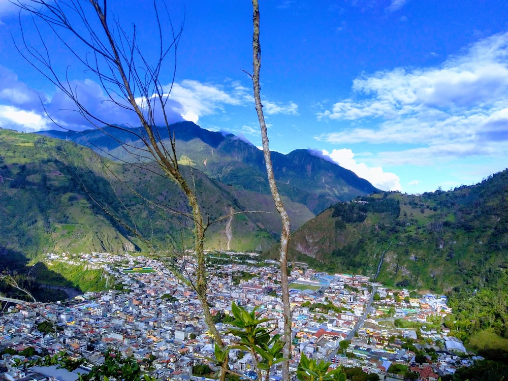 Montaña verde y marrón bajo el cielo azul durante el día