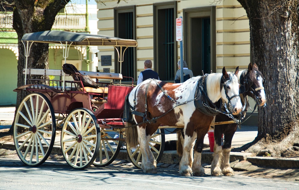 2 brown horses with carriage in front of building during daytime
