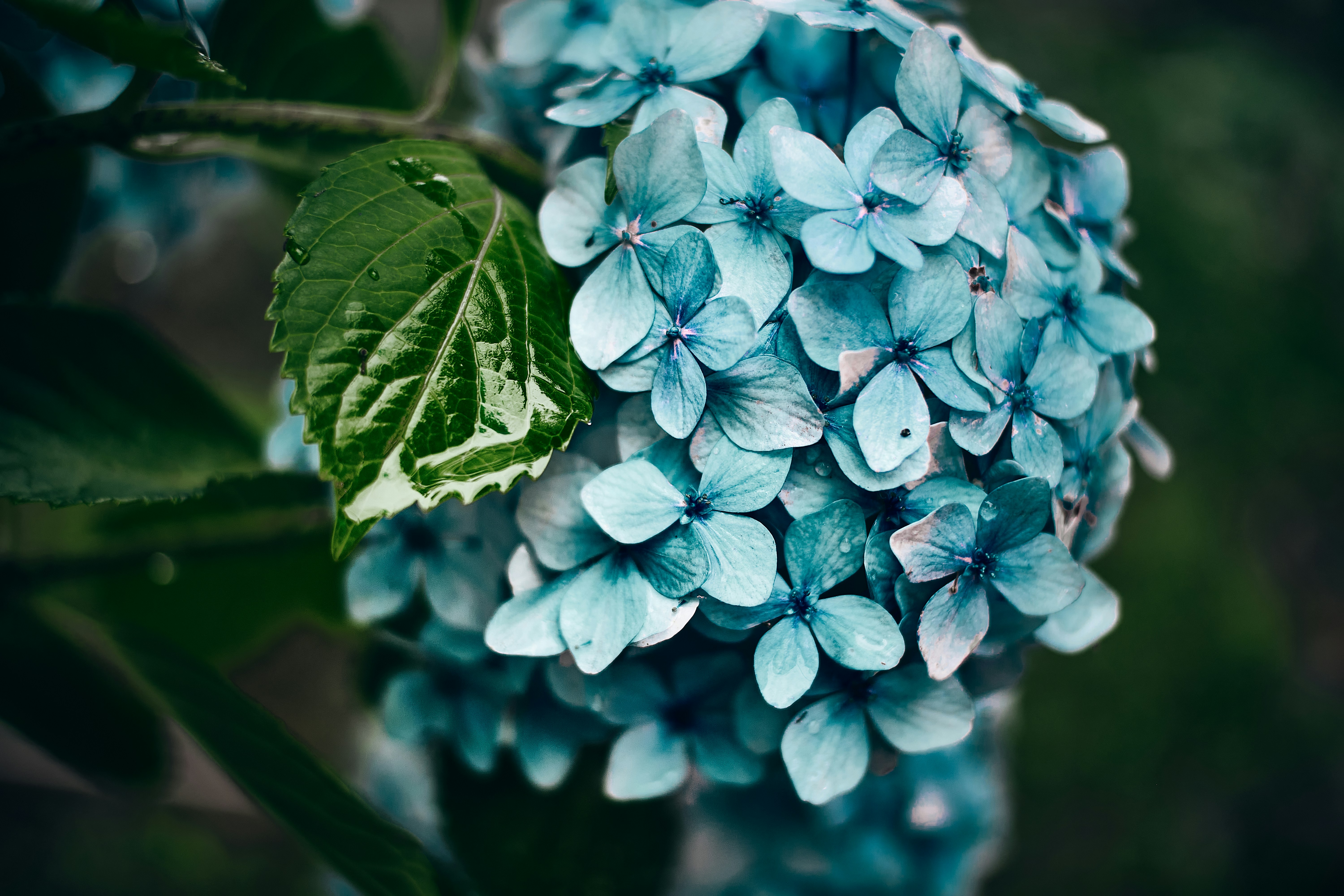 Photo by xiexianghua