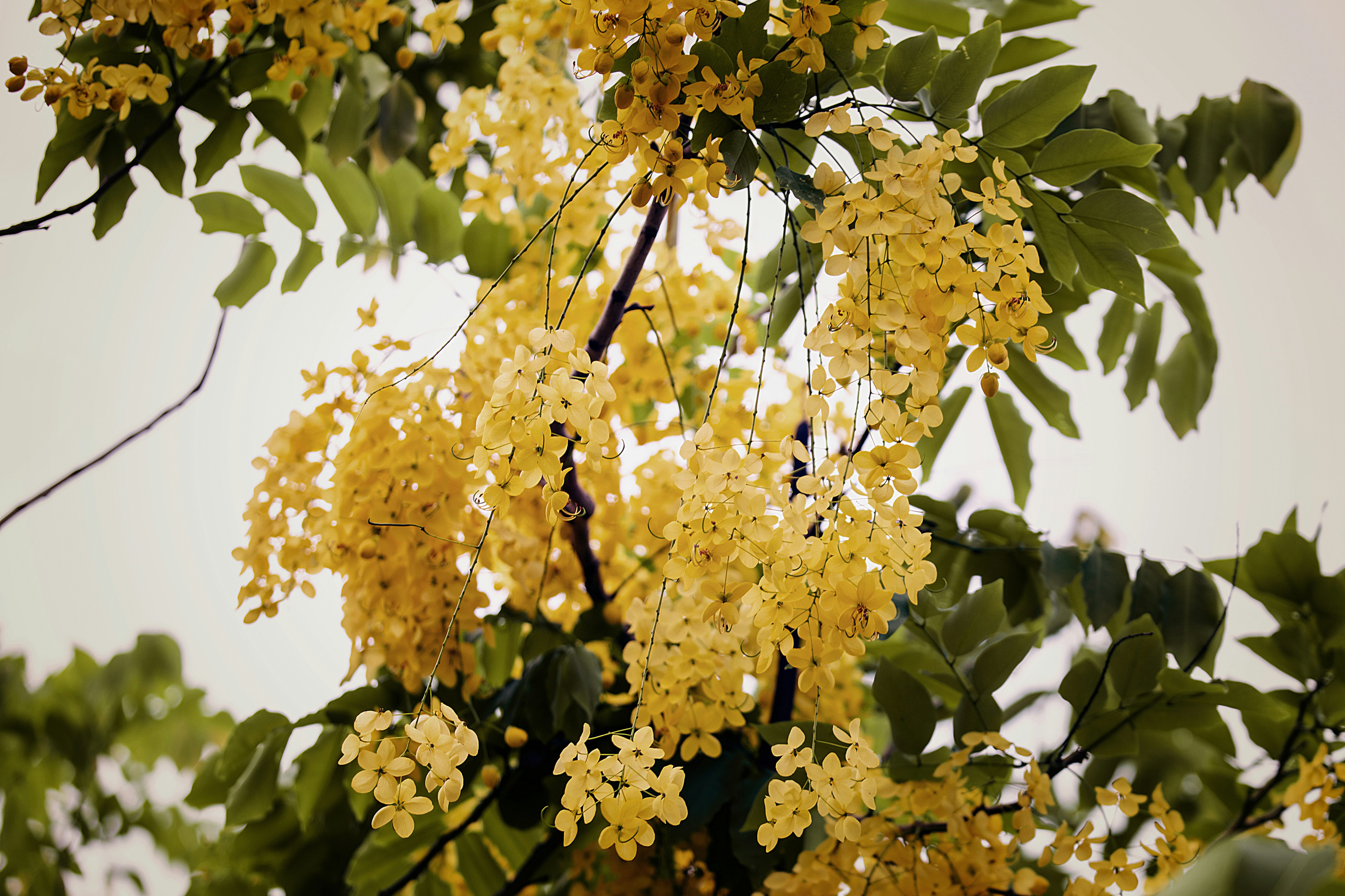 Photo by color0911