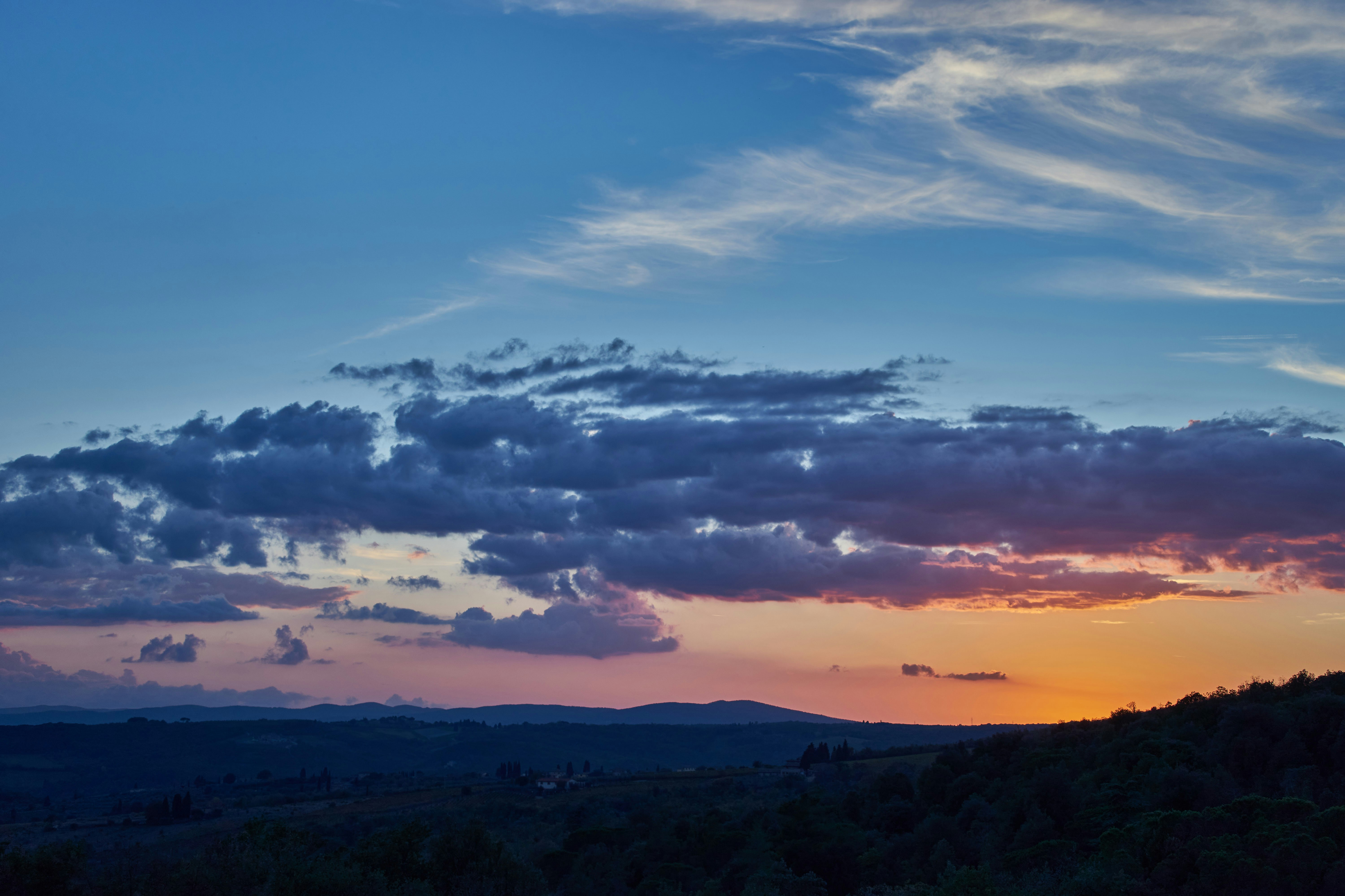 Photo by wolfgang_hasselmann